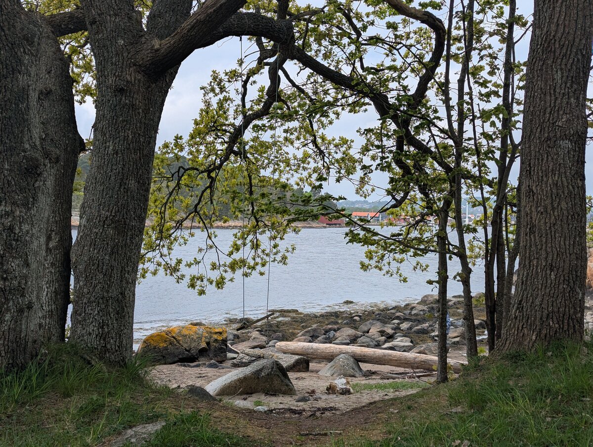 Idyllisk utsikt gjennom trær mot fjorden